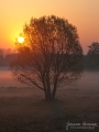 069_Biebrza - kwiecien 2012